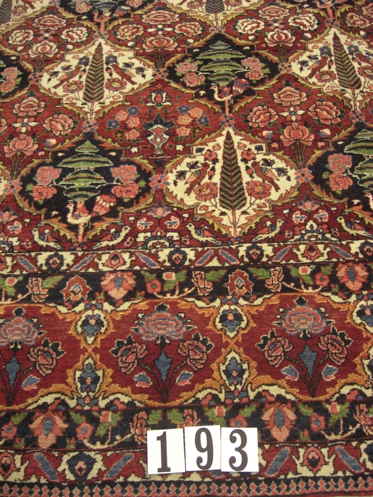 Rug image